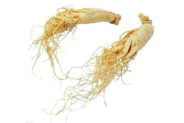 Ginseng root - a folk remedy to increase male strength